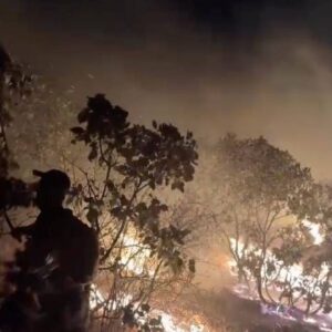 diyarbakirdaalevler 5 saatte kontrol altina alindi nvAm6Lre