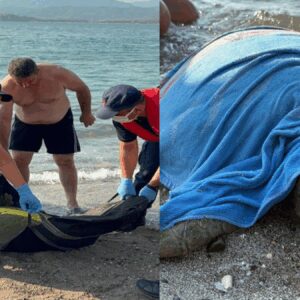 tekne pervanesi carpan caretta carettayi boyle kurtardilar Z2dnABxS