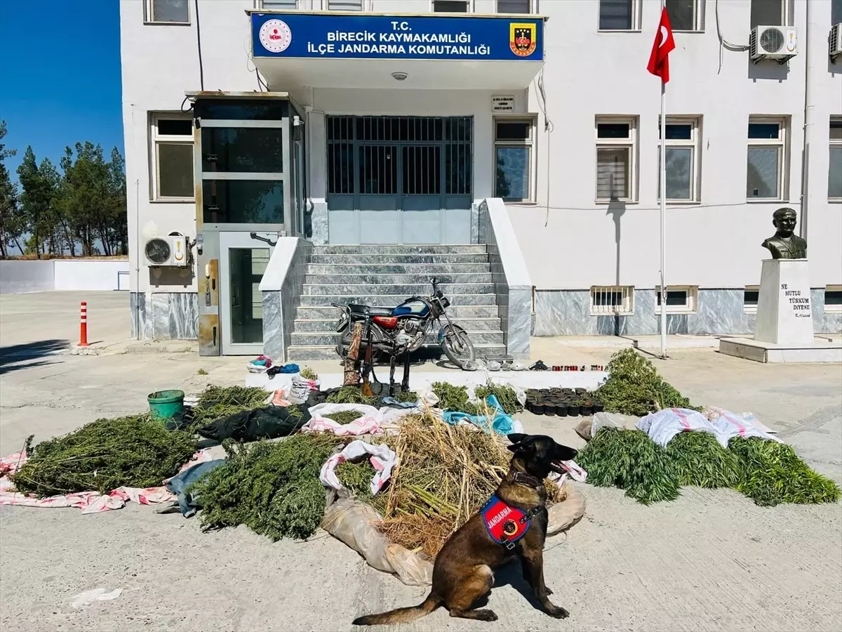 birecikte uyusturucu operasyonu 3 gozalti Z7j8me7u