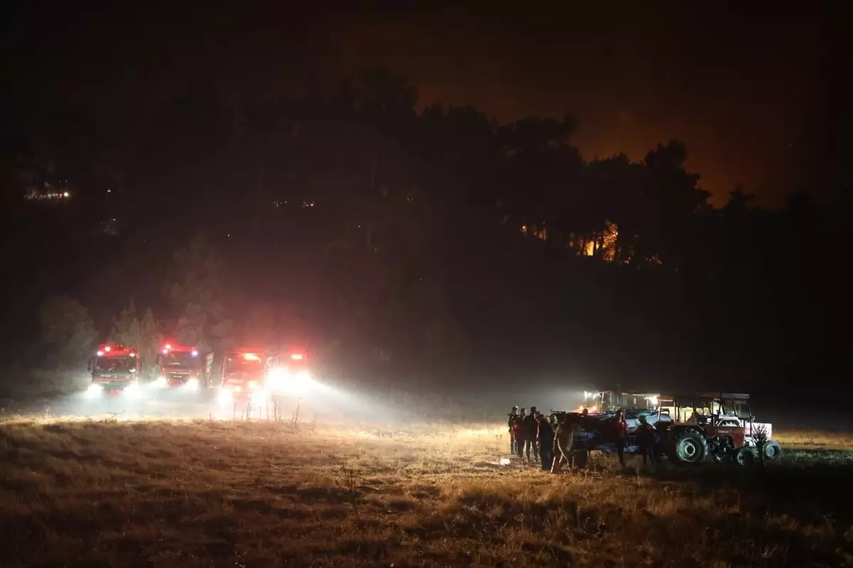 koycegizde orman yanginina mudahale O8RYApHE