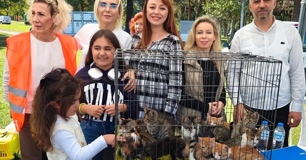 satin alma sahiplen etkinliginde can dostlara yeni yuvalar qaqTKPBV